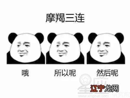 金牛、摩羯,是什么将他们联结到一起?