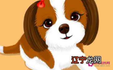 出生在哪一个年份的生肖，不同的性格与命运