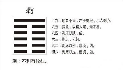 【天学网：】小畜