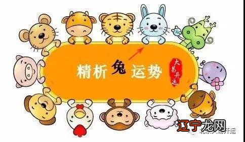 属兔人2019年5月份运势，有点难办的生肖