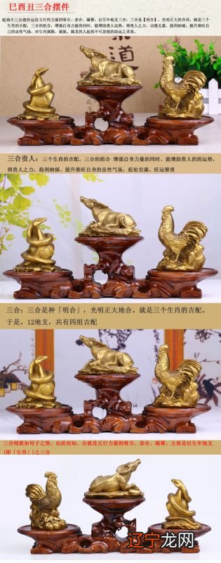 属牛的男生+属鸡的女生,有你吗?