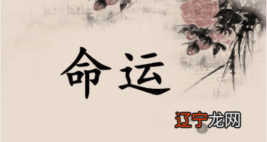 长春哪里有算命特别准的人,求具体地址和价格