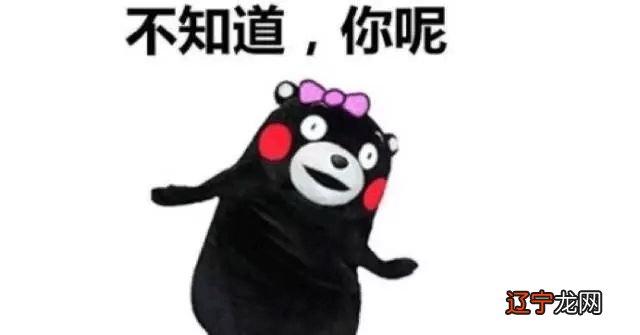 星座十二相,相相出自媒体人究竟..??