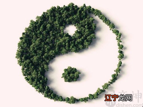 风水堂:同性五行者的八字命理