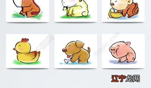 组图 猫七七哥哥生肖属狗的人年桃花运如何易星