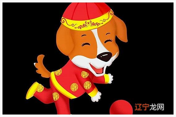 组图 猫七七哥哥生肖属狗的人年桃花运如何易星