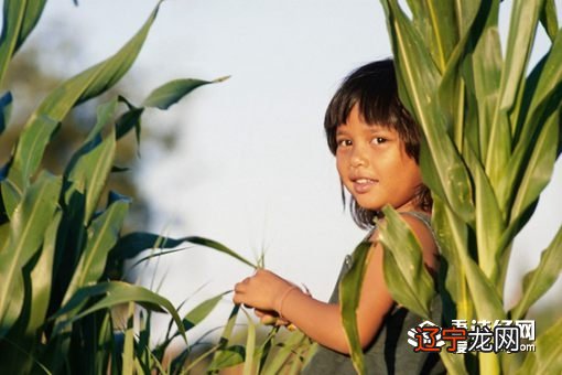 附讲讲博字 “博”讲讲的意思,你知道吗?