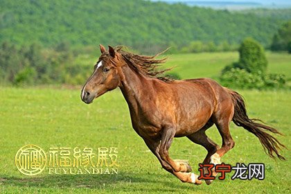 生肖属鸡五行缺什么颜色_生辰八字五行属缺金水怎么取名_2012年属什么生肖五行属什么