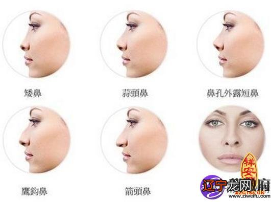 相学女人最有福气的7种鼻子_site12ky.com 鼻子和嘴巴一样大相学_鼻子相学图解鼻子看相