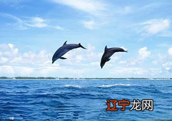 图 周公解梦梦到海洋大海是什么预兆？