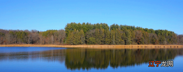 属虎人2022年运势及运程详解,属虎人要有心理准备和野心