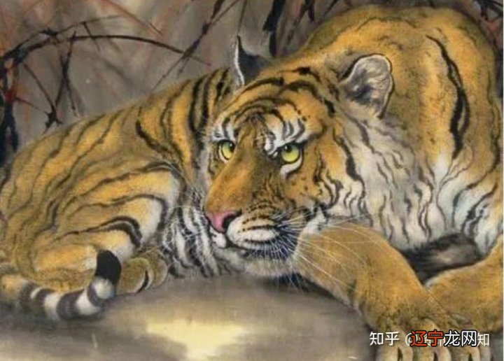 属虎人2022年运势及运程详解，属虎人要有心理准备和野心