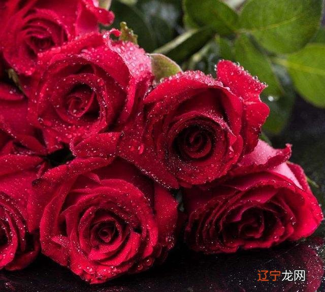 这个生肖的人，事业上有小人，做事不顺压力大