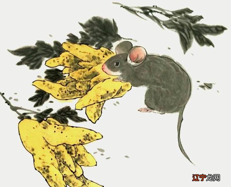 属牛人2018年运势2018属虎人的全年运程大全及破解