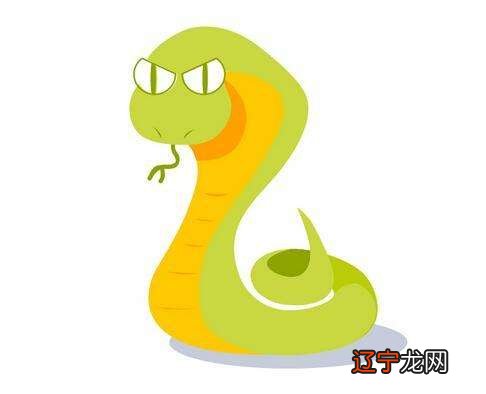 一下生肖属蛇在2022年多大,一年中里的运程及运势