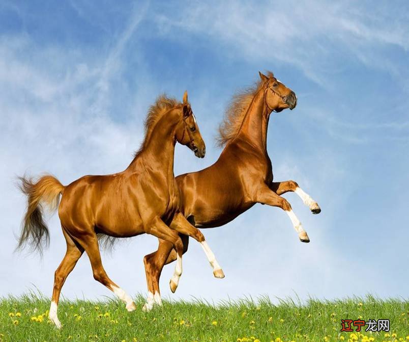 风水堂：86年属虎男的运势