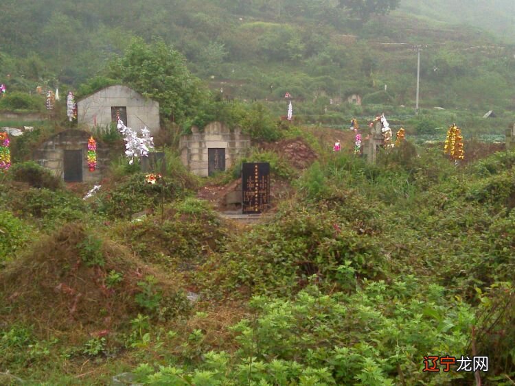 看坟运势_周口平坟看河南龙脉_身份证号码看运势