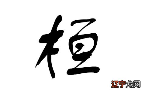 2021带草带水的人起名宜什么?带草字头寓意好男孩名字