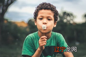 大全集 可供参考风水堂:可供参考带草字头的方法