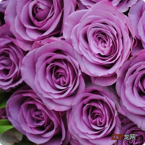 2022年吉兆、好运、横财的四种生肖是什么？