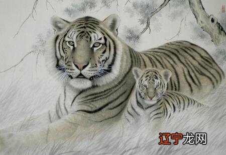 2022年吉兆、好运、横财的四种生肖是什么？