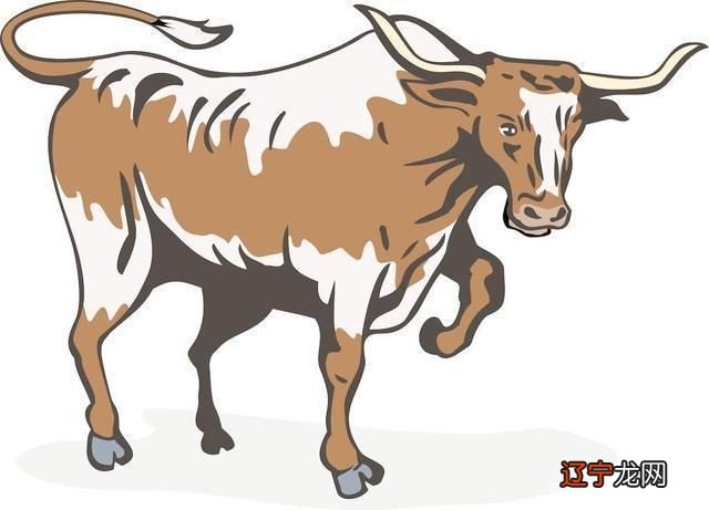 2022年吉兆、好运、横财的四种生肖是什么？