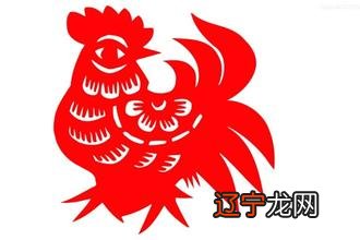 子鼠风水堂:子鼠肖鼠的人取名注意事项