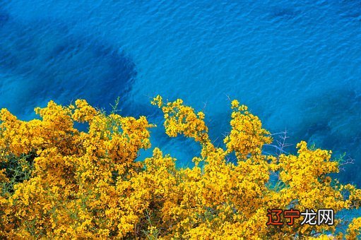 12画6画 100分好听的男孩名1