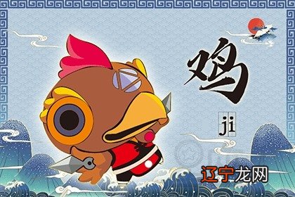 属鸡的跟属猪的合吗?一起工作怎么样?的合吗