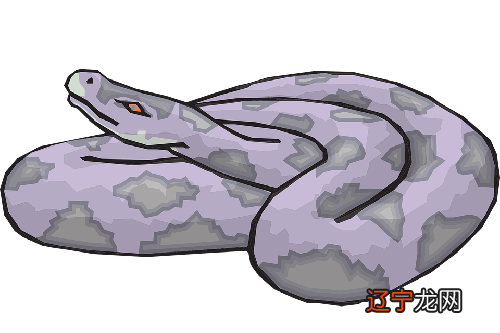 属蛇人在2022年感情和婚姻运势怎么样？