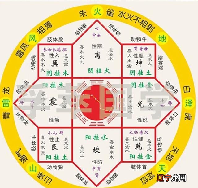 想知道您的五行属什么吗？非常运势生辰八字测算网