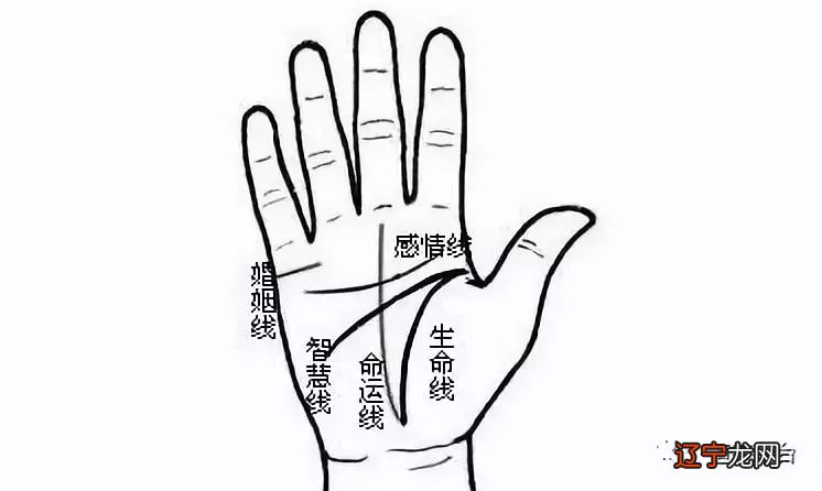 什么样的手相的生命纹最好？你知道吗？