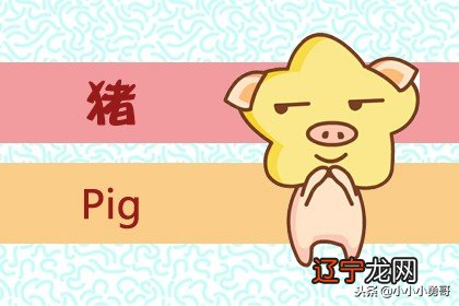 12生肖属猪的婚姻最佳配对，有你吗？不同