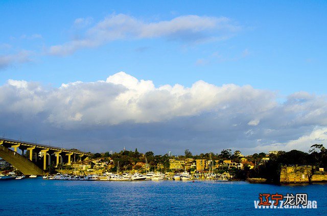 不少风水堂:梦见别人生小孩会心想事成、有财运