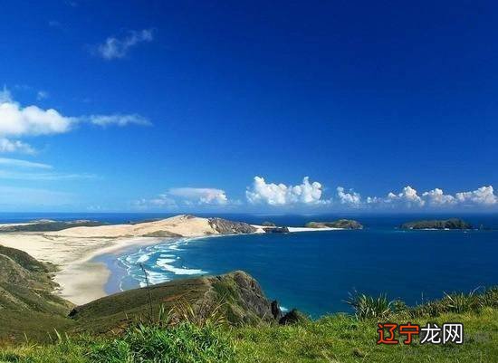 12生肖属蛇狮子男天性格基本特点皆有哪些？