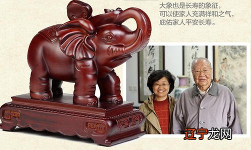 怎么摆放大象是最好的呢?大象的摆放风水讲究是什么