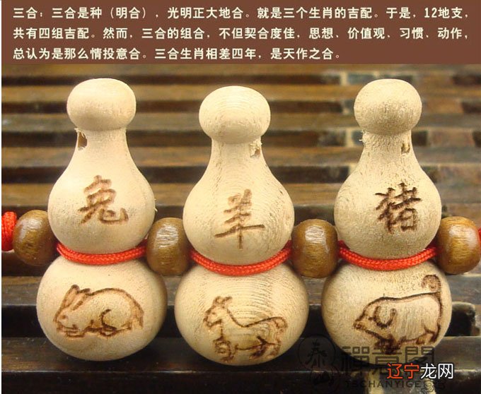 兔子和什么星座最适合发财