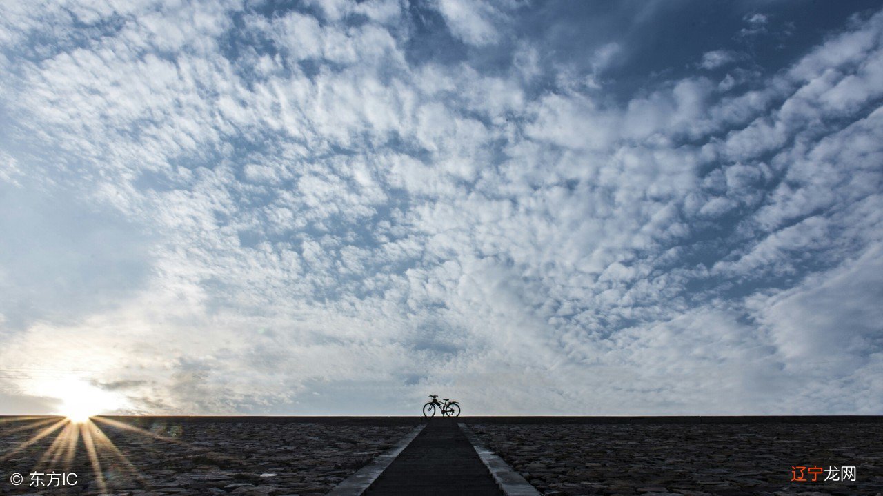 李仙鹤:不能防微杜渐,算命有何意义?人生需要经历三个阶段