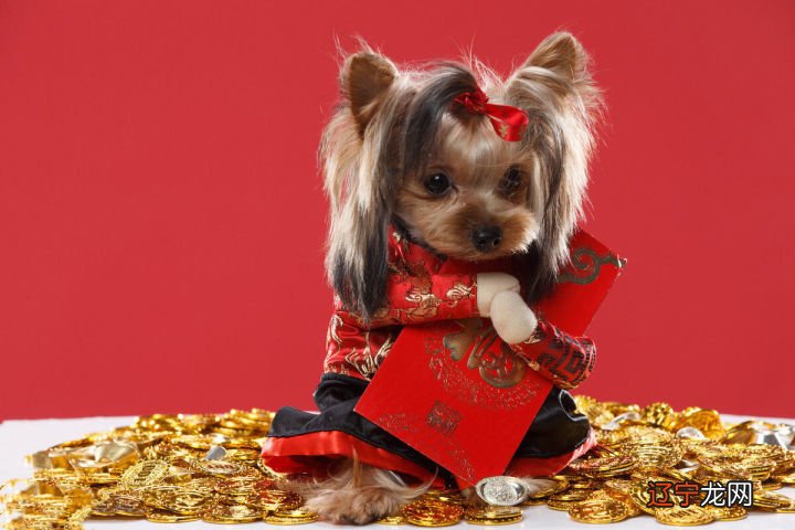 宋韶光属狗2021年属狗运程，你知道这是怎么回事？