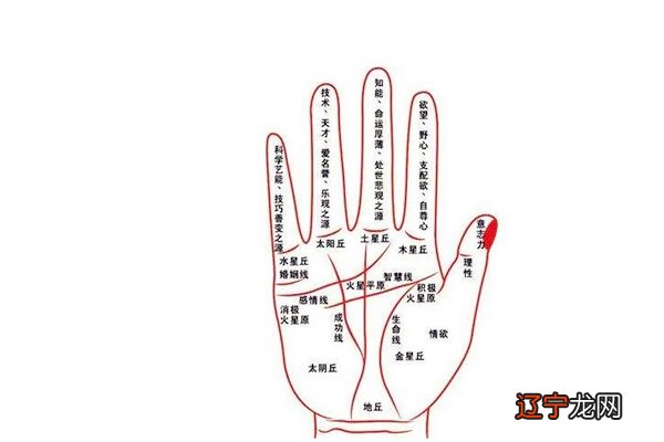 组图 男人左手有三条婚姻线看左手还是右手?