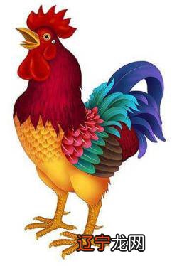 2020年有桃花运的人运势寻找幸福，查看属鸡人每年运势