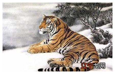 属虎的男性和什么属相的女性最配，你知道吗？