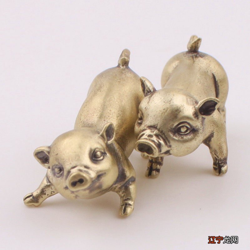 属虎的男性和什么属相的女性最配，你知道吗？