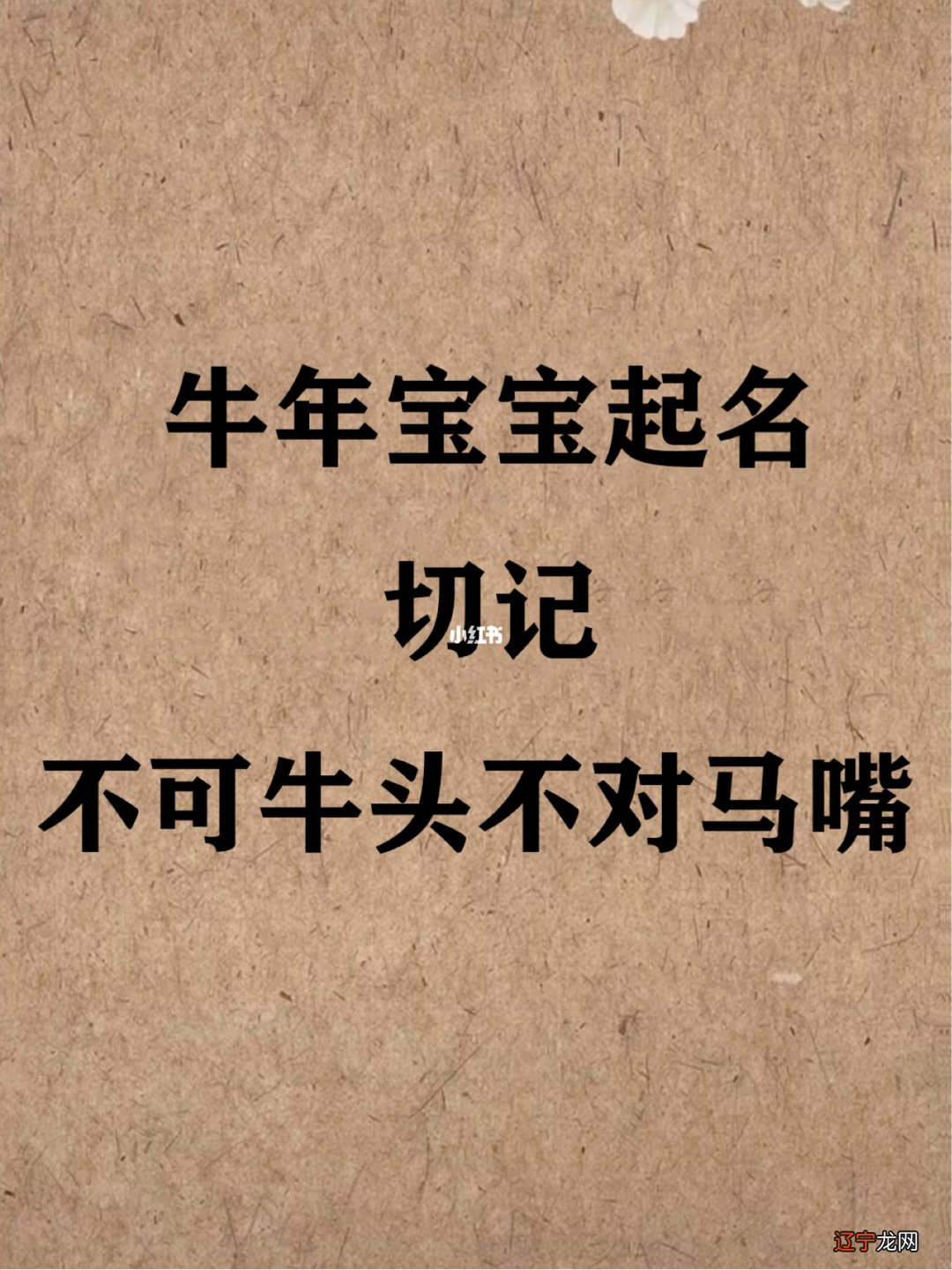 牛年小女孩乳名_洋气有创意个性的乳名_牛年有创意的乳名三个字