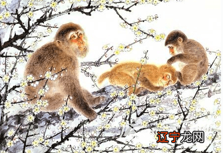 68年出生的女命2021年运势如何第一星座，都说人各有命