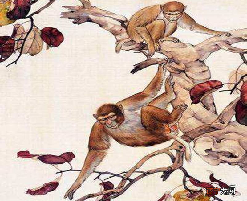 68年出生的女命2021年运势如何第一星座，都说人各有命