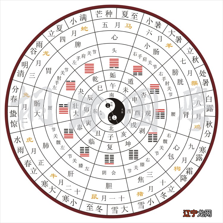 数字易经算命都是生你可能要问的是数字