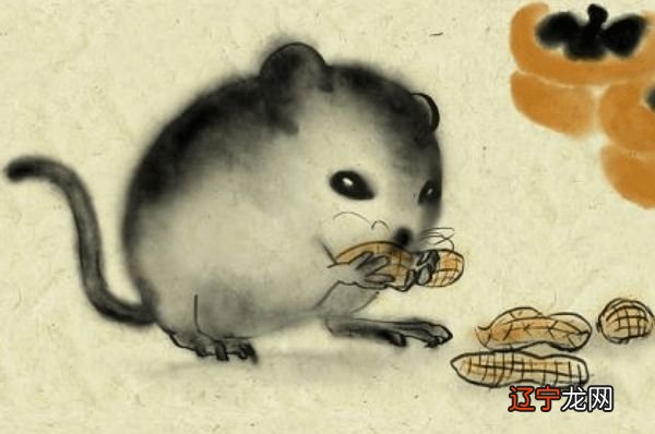 十二生肖的命格与整体运势如何呢？的运势与运势