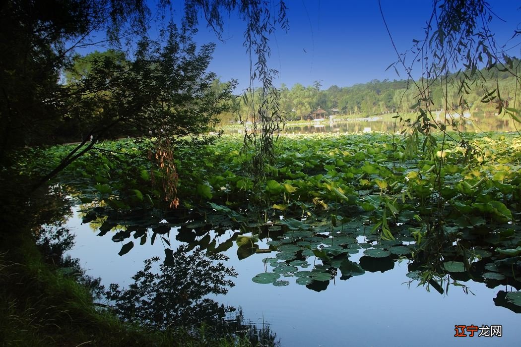 生于风水堂:生于“金”时的一生