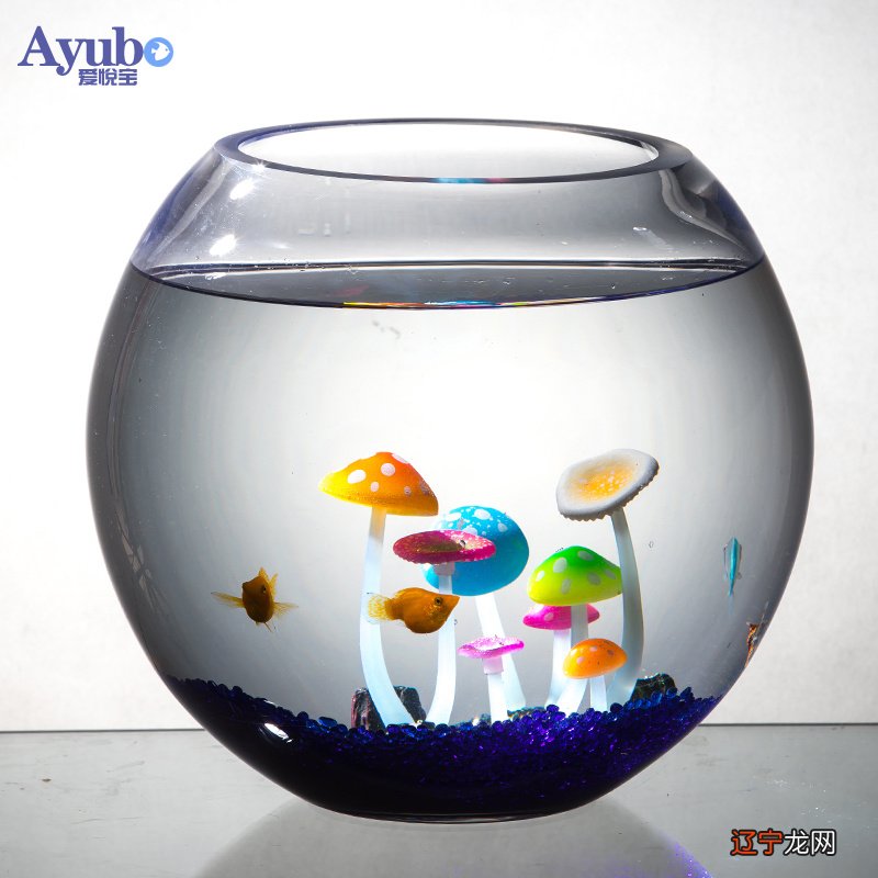 历史新知网：一下好能聚财，养不好还有反作用